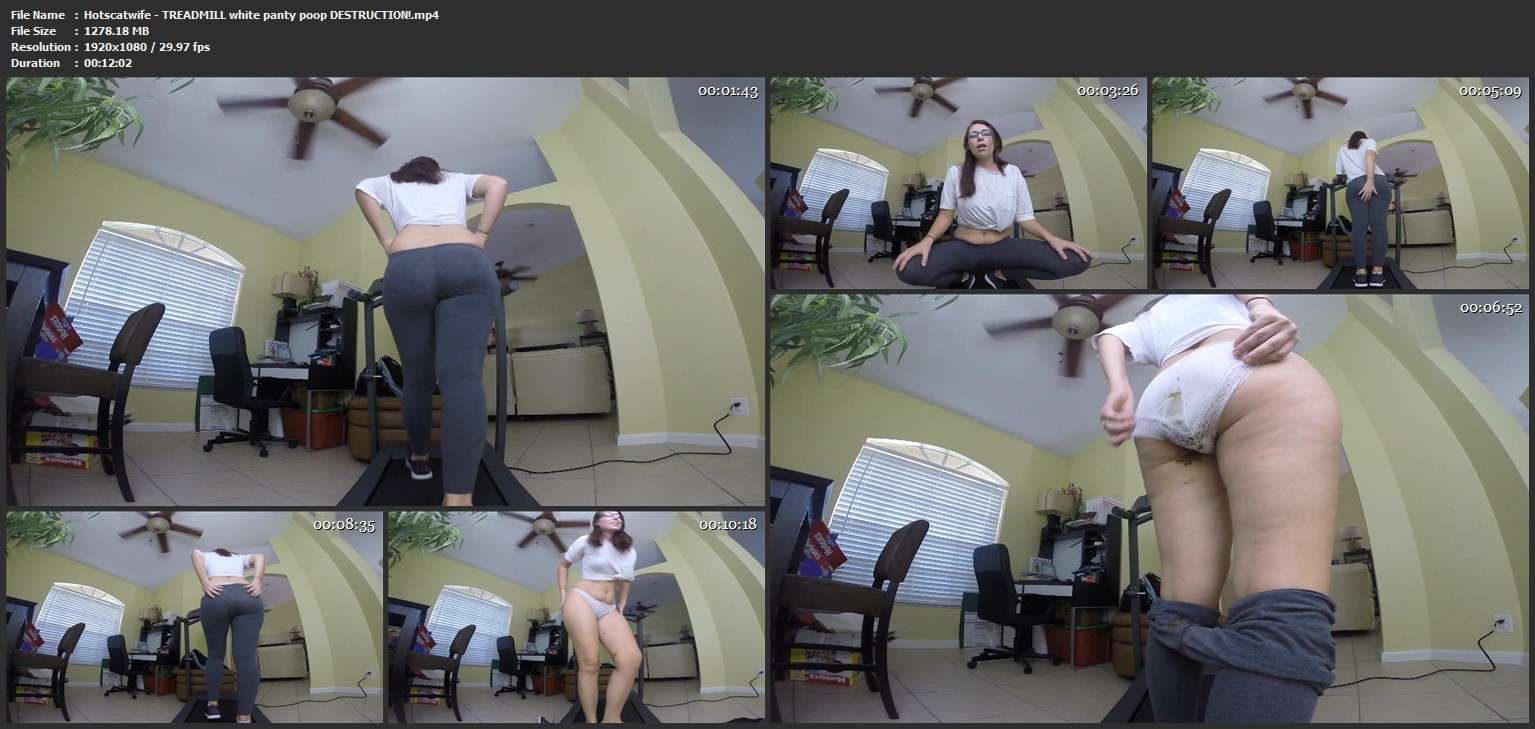 cachorro gozando pinto de cavalo xoxota cachorro de pau duro Mulher trepando com cavalão enquanto marido cornao assiste pornografia animal cachorro comendo buceta